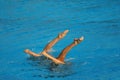 Synchronized Swimming Royalty Free Stock Photo