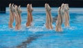 Synchronized swimming exhibit 007