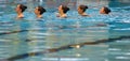 Synchronized swimming team practice detail listening to coach