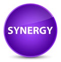 Synergy elegant purple round button Royalty Free Stock Photo