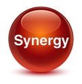 Synergy glassy brown round button