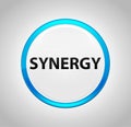 Synergy Round Blue Push Button Royalty Free Stock Photo