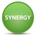 Synergy special soft green round button