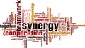 Synergy word cloud