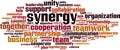 Synergy word cloud Royalty Free Stock Photo