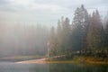 synevyr lake on a foggy morning Royalty Free Stock Photo