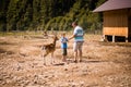 Synevyr, Ukraine - 17 August, 2019: Tourist man with little son in forest zoo touches cute sika deer