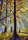 Synny forest oil painting Royalty Free Stock Photo