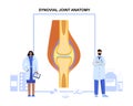 Synovial joint poster Royalty Free Stock Photo