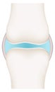 Synovial Joint Diagram Royalty Free Stock Photo