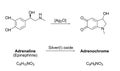 Synthesis of adrenochrome, chemical equation