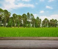 Synthesis of textured wooden planks floor and green field background.