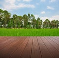 Synthesis of textured wooden planks floor and green field background.