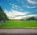 Synthesis of textured wooden planks floor and green field background. Royalty Free Stock Photo