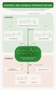 Synthetic and Catabolic Pathways for AEA vertical textbook infographic