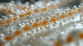 Synthetic Dna snippets floating in solution for hybridization or amplification
