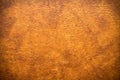 Synthetic leather Royalty Free Stock Photo