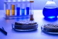 .Synthetic meat production. Checking the product for suitability in the laboratory. Artificial meat is the food of the future.