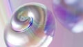 synthetic pearlescent tech holographic iridescent abstract coposition with shell, 3D rendering, golden rule composition