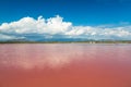 Synthetic Pink water salt lake in Dominican Republic