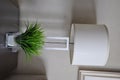 Synthetic plant and lampshade Royalty Free Stock Photo