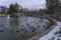 View of Rosamond Gifford Zoo Ducks Pool