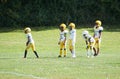 Syracuse, New York, U.S - October 15, 2022 - The little kids football players on the field