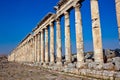 Syria - Apamea Royalty Free Stock Photo