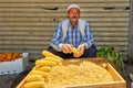 Syria. Damascus. Sale of corn cobs