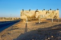 Syria. Palmyra. The cult of Assad