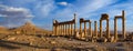 Syria . Palmyra.