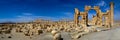 Syria . Palmyra. Royalty Free Stock Photo