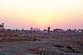 Syrian archeological site Palmyra at sunrise
