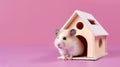 Syrian white ginger hamster on pink background in wooden small decorative house for rodents copy space pet love and care