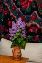 Syringa vulgaris, lilac flower, blooming branches in clay jug on table with carpet background, in country house Royalty Free Stock Photo