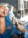 A syringe being filled by two health care providers at a hospital