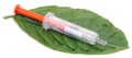 Syringe and green leaf. Royalty Free Stock Photo