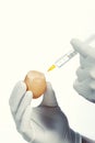 Syringe injecting egg