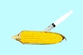 Syringe injecting liquid into corn against