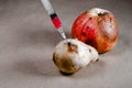 Syringe injection into a decaying pear and a blurry apple in the background. Close-up. Selective focus Royalty Free Stock Photo