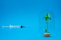 The syringe with the solution is directed at a green sprout in a glass flask on a blue background