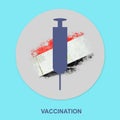 Syringe for vaccination against the background of the flag of Egypt. Icon on a blue background. Isolated. Vaccination against Royalty Free Stock Photo