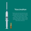 Syringe and vaccine with lettering