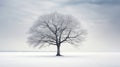 system file tree