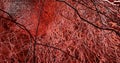 3D render. System many small capillaries branch out of the large blood.