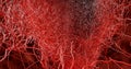 3D render. System many small capillaries branch out of the large blood. Royalty Free Stock Photo