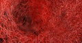 3D render. System many small capillaries branch out of the large blood. Royalty Free Stock Photo
