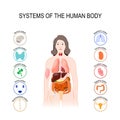 Systems of the human body