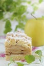 Szarlotka - traditional polish apple pie Royalty Free Stock Photo