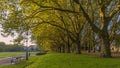 Szczecin, West Pomeranian Voivodeship, Poland - 06 September 2020: Panoramic view of Jasne Blonia Square and City Hall